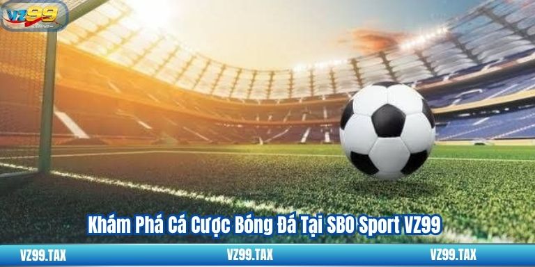 SBO Sport VZ99: Khám Phá Sảnh Thể Thao Đẳng Cấp Nhất 3 Khám Phá Cá Cược Bóng Đá Tại SBO Sport VZ99