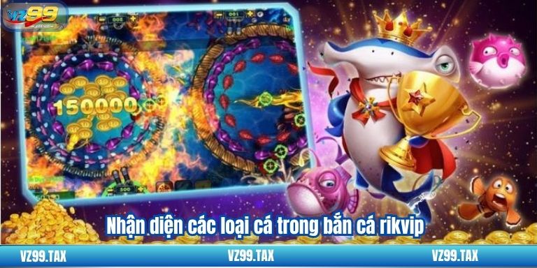 Bắn Cá Rikvip VZ99: Đại Chiến Dưới Biển Và Thưởng Lớn 3 Nhận diện các loại cá trong bắn cá rikvip